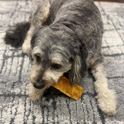 Fieldcrest Farms Nothin' to Hide Flip Chips - Collagen-Based Rawhide Alternative Dog Chews for Moderate Chewers Up to 35 lbs, Highly Digestible, Supports Joints & Skin, Fresh Salmon Flavor, 8 Chips - Image 9