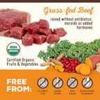Grain free freeze dried raw beef dog treats and cat treats close up texture look