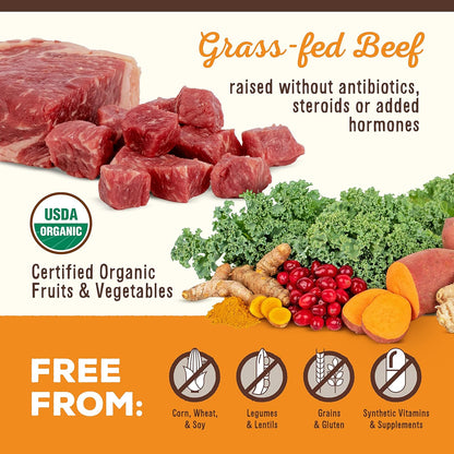 Grain free freeze dried raw beef dog treats and cat treats close up texture look