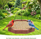 Cardinal bird eating from a feeder filled with Kaytee seed mix