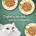 Tuna primavera gourmet wet cat food three ounce individual can