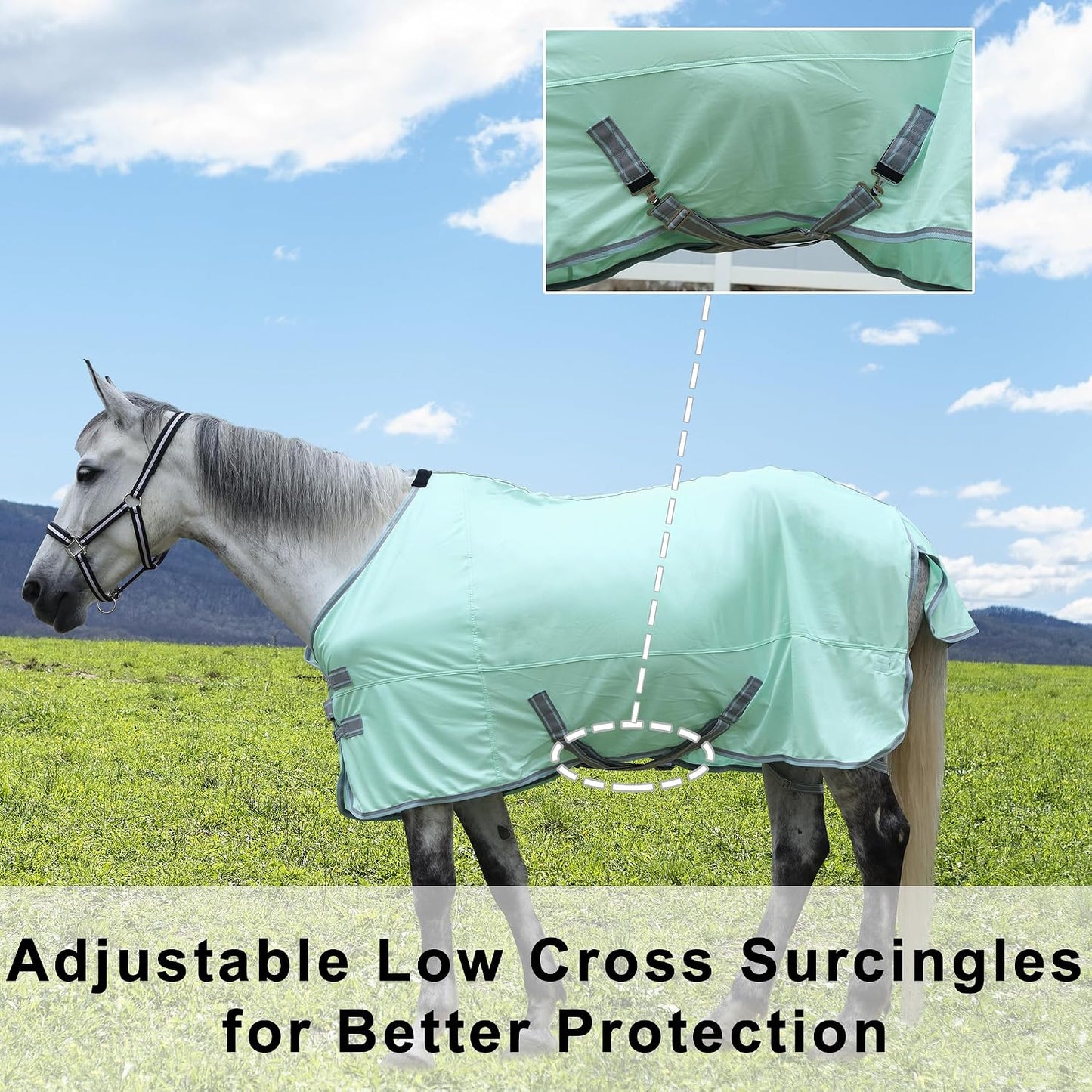 TARFEPA standard neck horse flysheet highlighting the full wrap tail flap