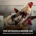 Back view of Hen Holster premium poultry diaper for roosters