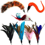 Complete five count pet toy replacement pack overview