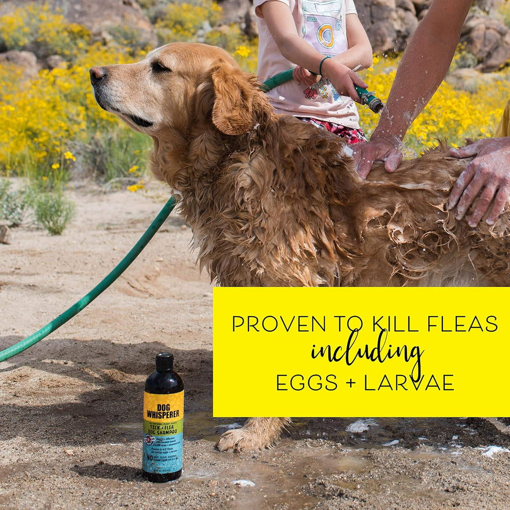 Dog Whisperer anti tick and flea dog shampoo natural ingredients label view