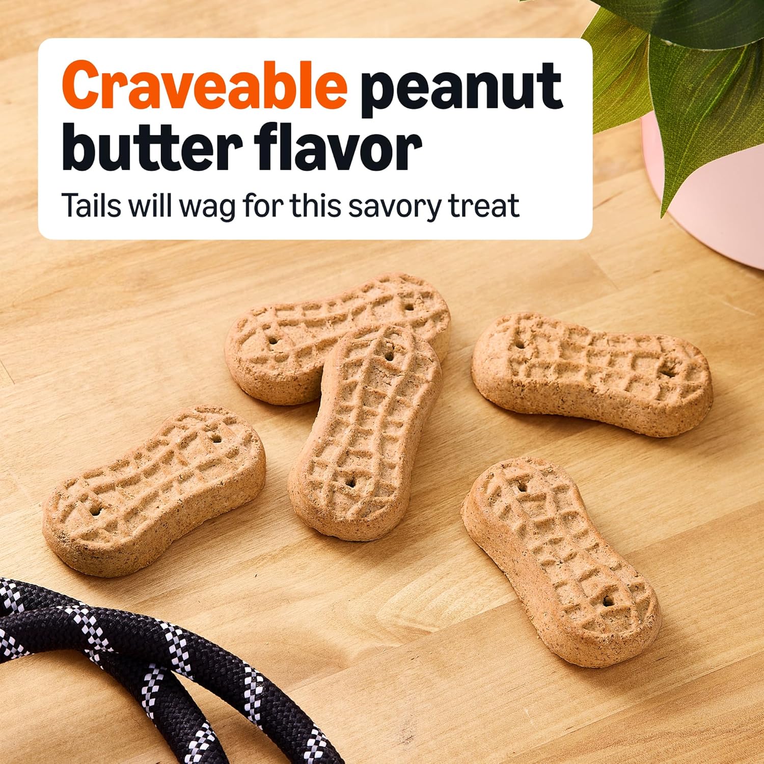 Amazon Basics peanut butter flavored dog treats baked in the USA packaging details