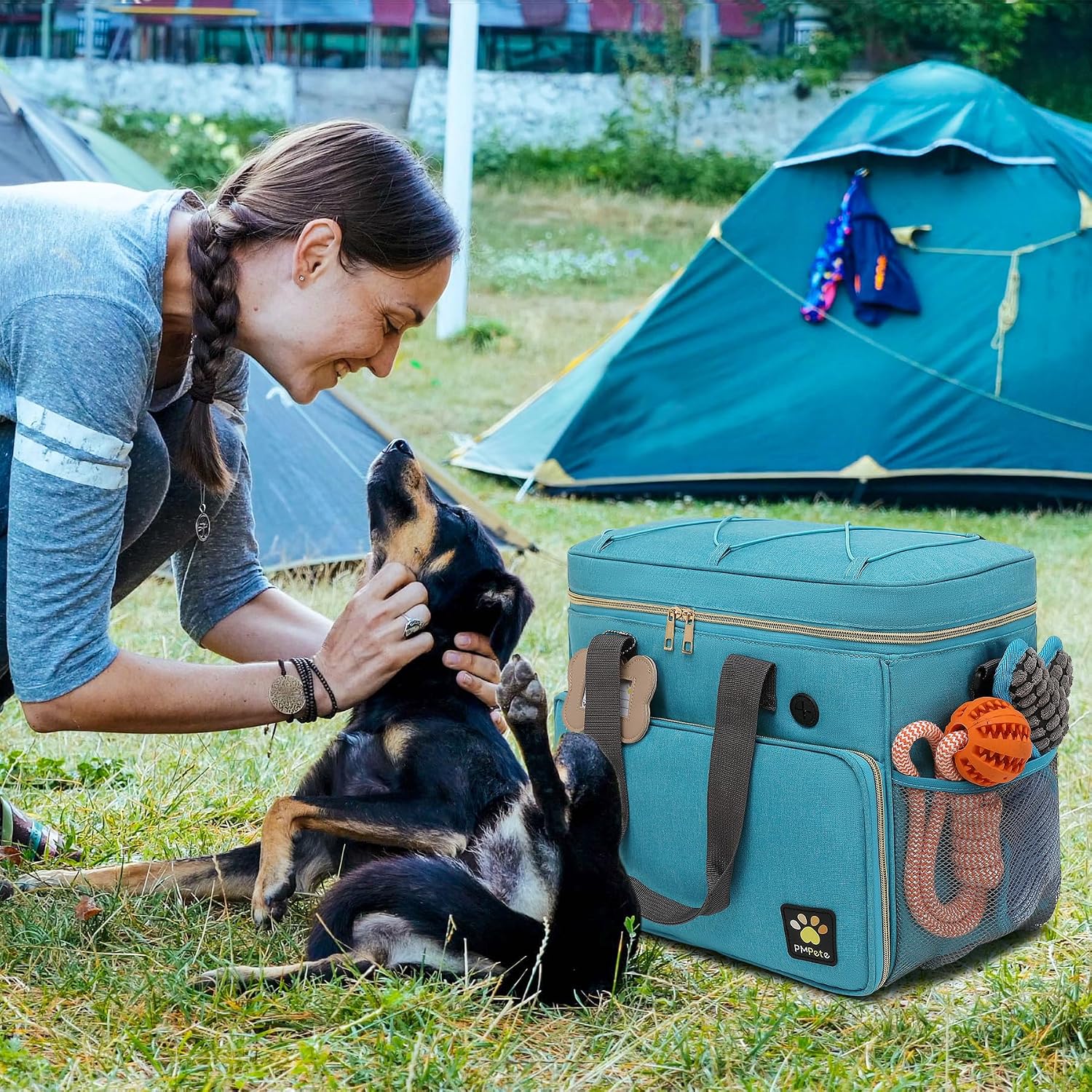 Pet medical kit pouch for travel organization