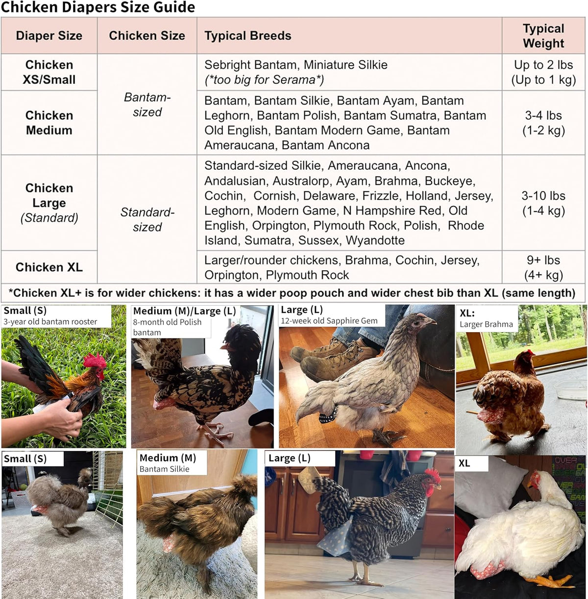 Poultry diaper displayed flat showing complete harness structure