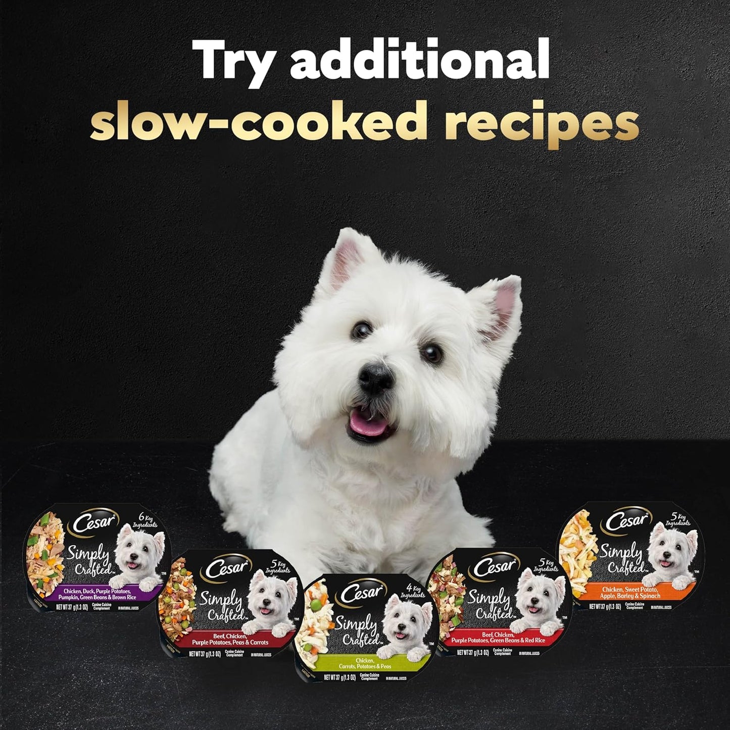 Cesar soft wet dog food complement for picky eaters