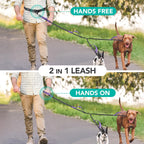 PetAmi running waist belt leash for walking two medium or large dogs simultaneously.