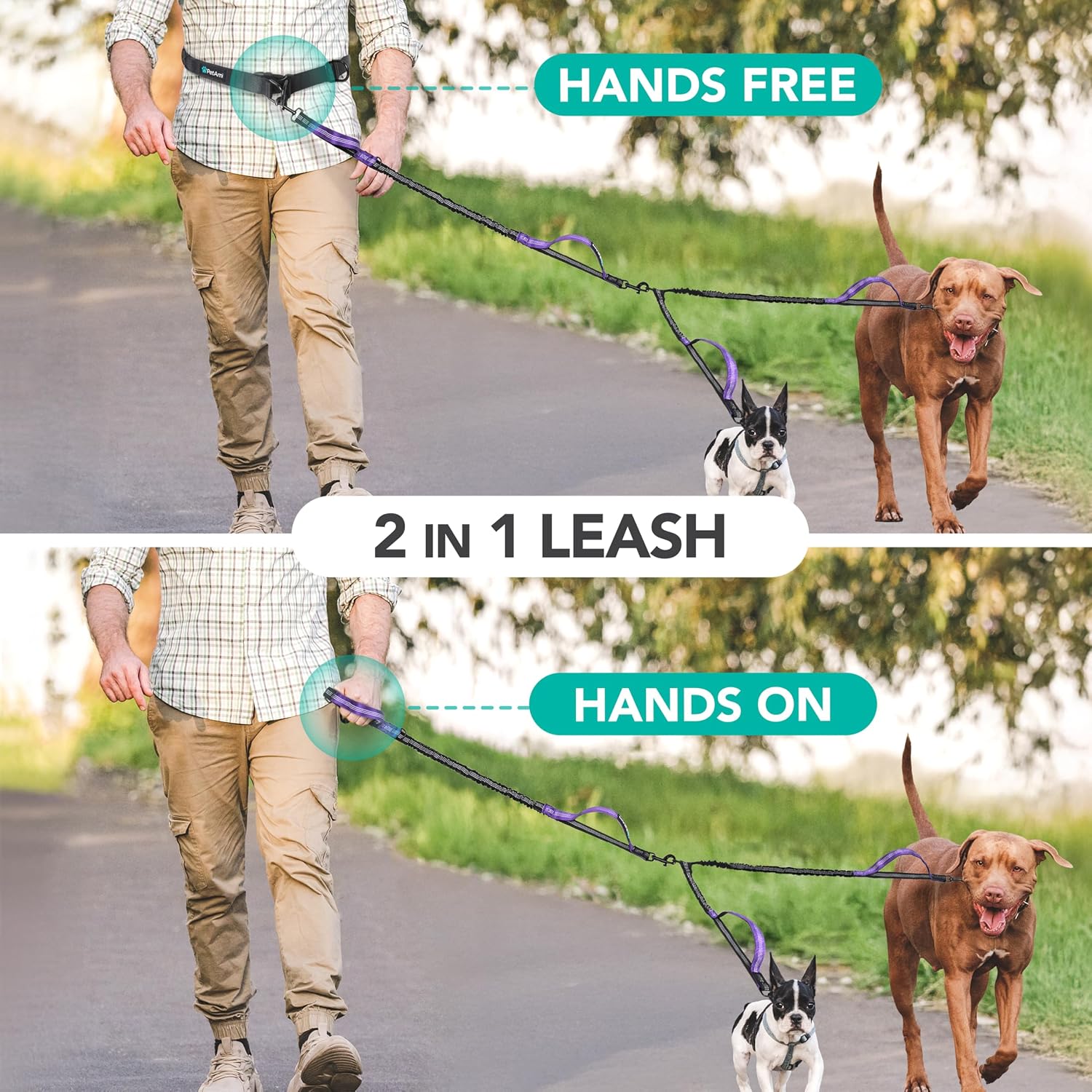 PetAmi running waist belt leash for walking two medium or large dogs simultaneously.