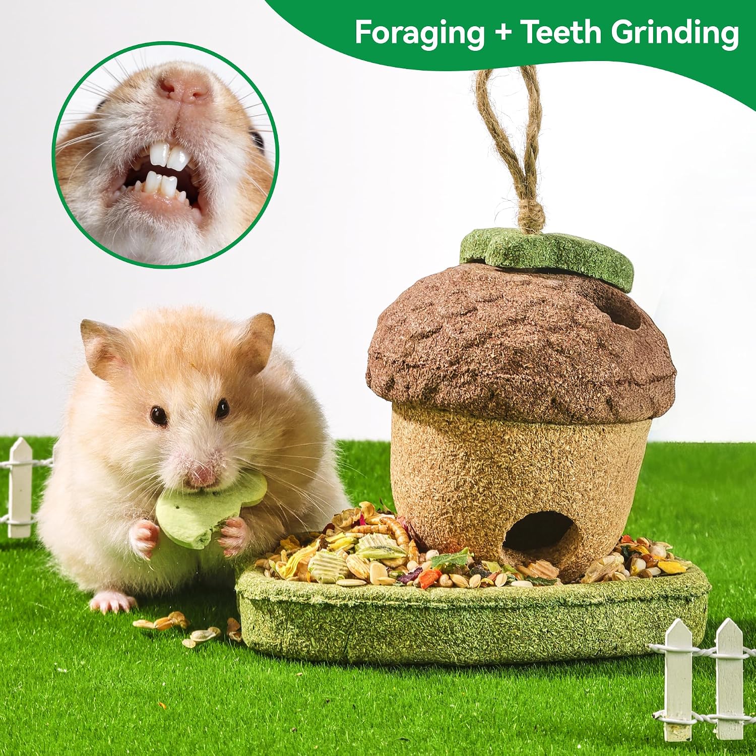 Handcrafted organic grass and vegetable shapes for guinea pig habitat decoration