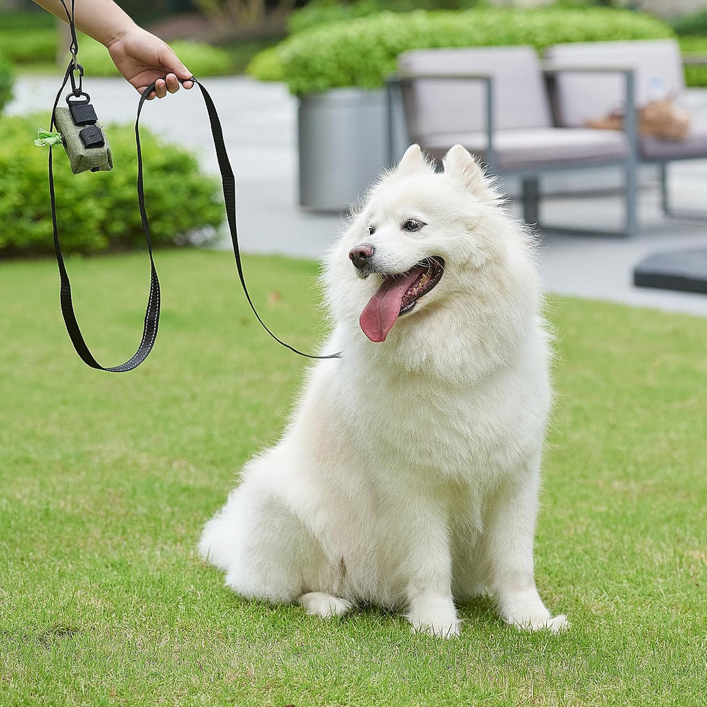 Premium imported SUNNQ heavy duty training leash showing reinforced stitching details.