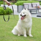 Premium imported SUNNQ heavy duty training leash showing reinforced stitching details.