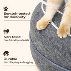 Cat playing inside the Meowfia felt tunnel