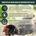 Natural volcanic mineral powder for healthy feathers