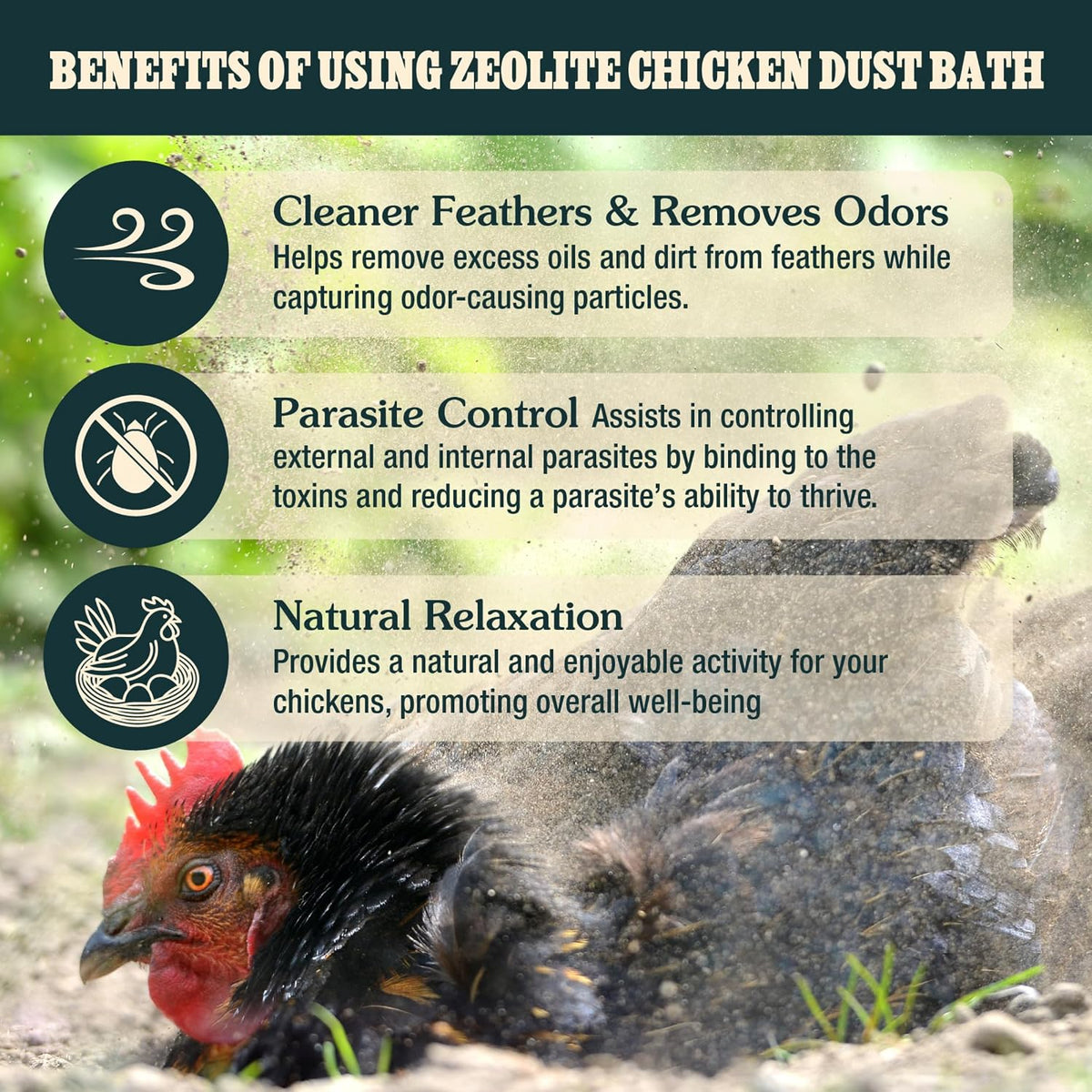 Natural volcanic mineral powder for healthy feathers