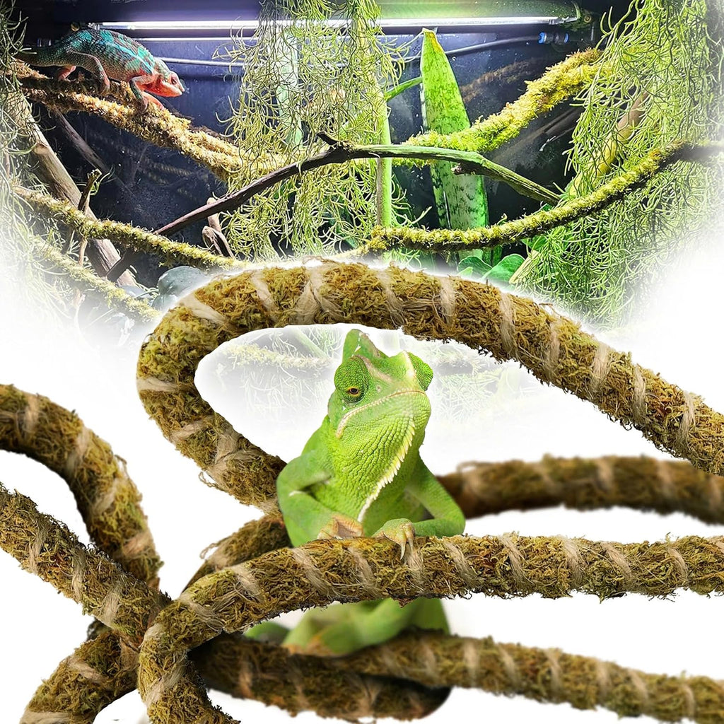 Duspro 10FT Reptile Vine front view showing bendable moss branch design