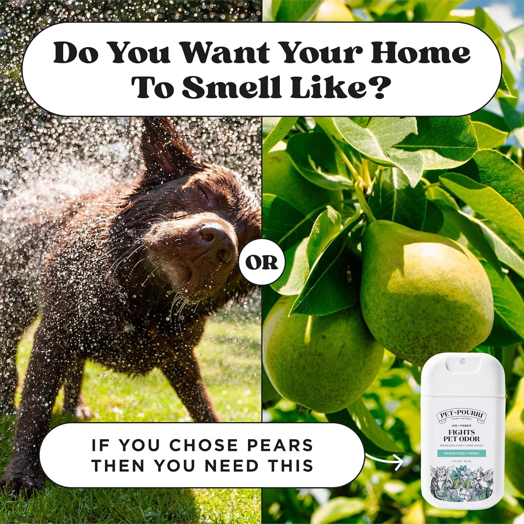 Poo-Pourri Pawsitively Fresh Pocket Deodorizer Spray - Dog & Cat Odor Remover - Plant Based Ingredients - Vet Recommended - Great for Air, Carpet, Fabric, Litter Box, Urine & Strong Pet Odors - Image 10