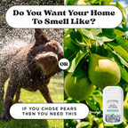 Poo-Pourri Pawsitively Fresh Pocket Deodorizer Spray - Dog & Cat Odor Remover - Plant Based Ingredients - Vet Recommended - Great for Air, Carpet, Fabric, Litter Box, Urine & Strong Pet Odors - Image 10