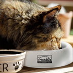 Franklin Pet Supply Co durable travel dish for canine and feline hydration