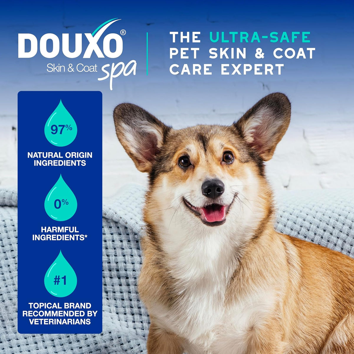 Pet owner brushing dog after using Douxo Spa deodorizing spray