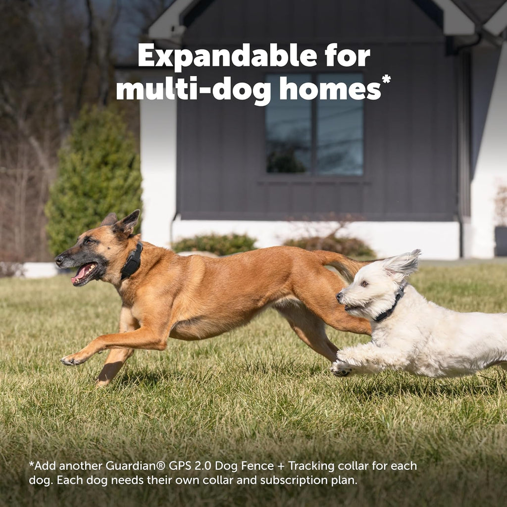 PetSafe Guardian GPS 2.0 Dog Fence + Tracking Wireless Dog Fence with Reliable Dual Frequency GPS Tracking Smaller Collar for All Breeds 10 lbs and Above Subscription Required - Image 9