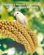 Hanging millet spray inside a bird enclosure