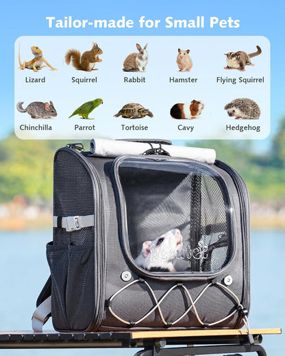 Pecute Small Pet Carrier, Breathable Bearded Dragon Carrier, with Transparent Bubble & Steel Frame, Safety Lock for Hamster, Rabbit, Guinea Pig, Parrot, Kitten, Puppy, Ideal for Travel/Vet Visits/Camp - Image 9