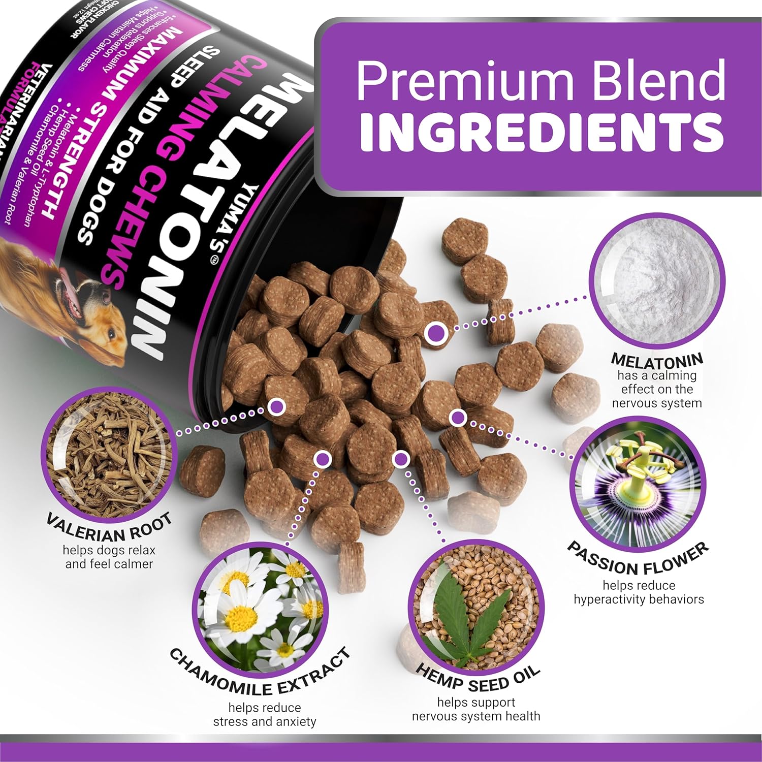 Vet-formulated melatonin soft chews for canine anxiety relief