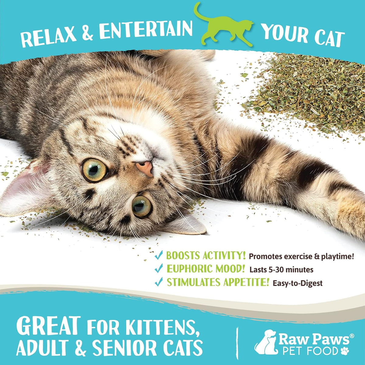 High potency premium loose catnip for refilling cat toys