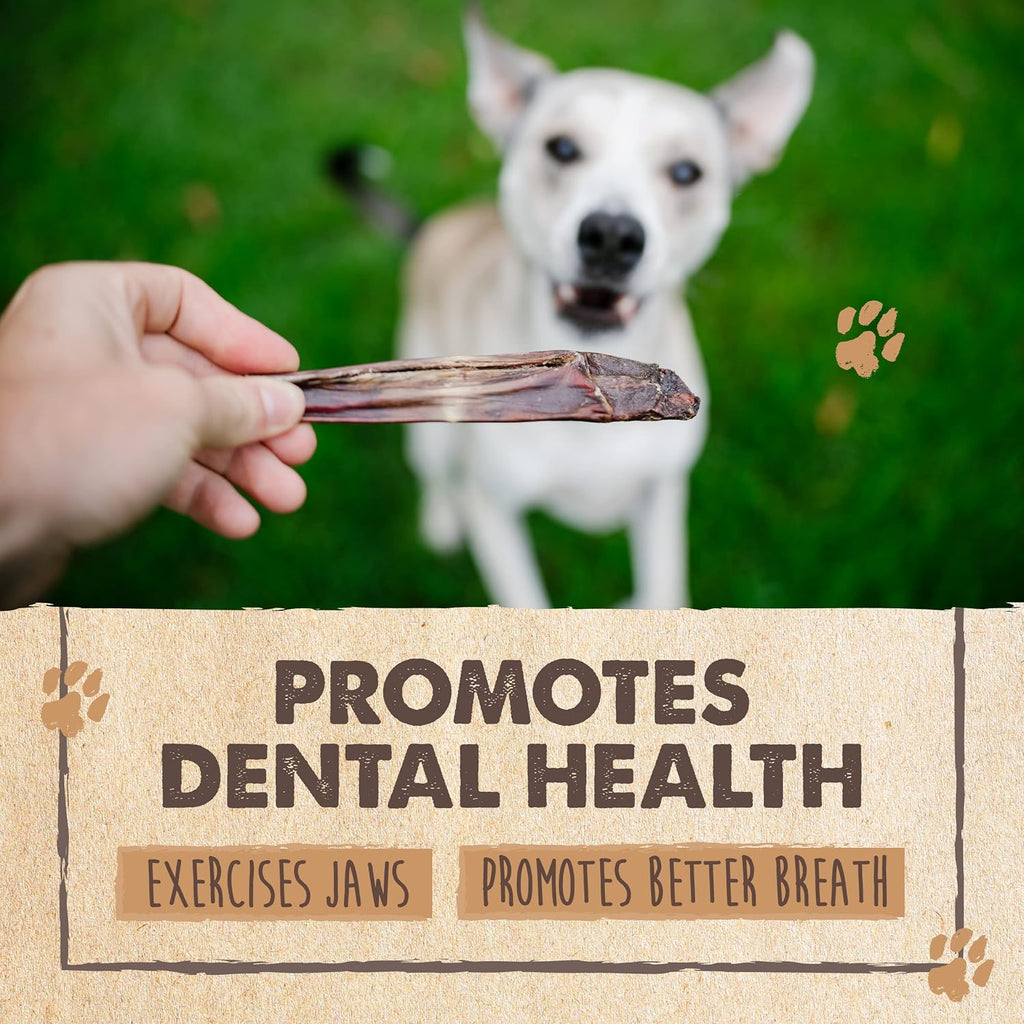 Mighty Paw grain free beef dog chews packaging details