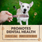 Mighty Paw grain free beef dog chews packaging details