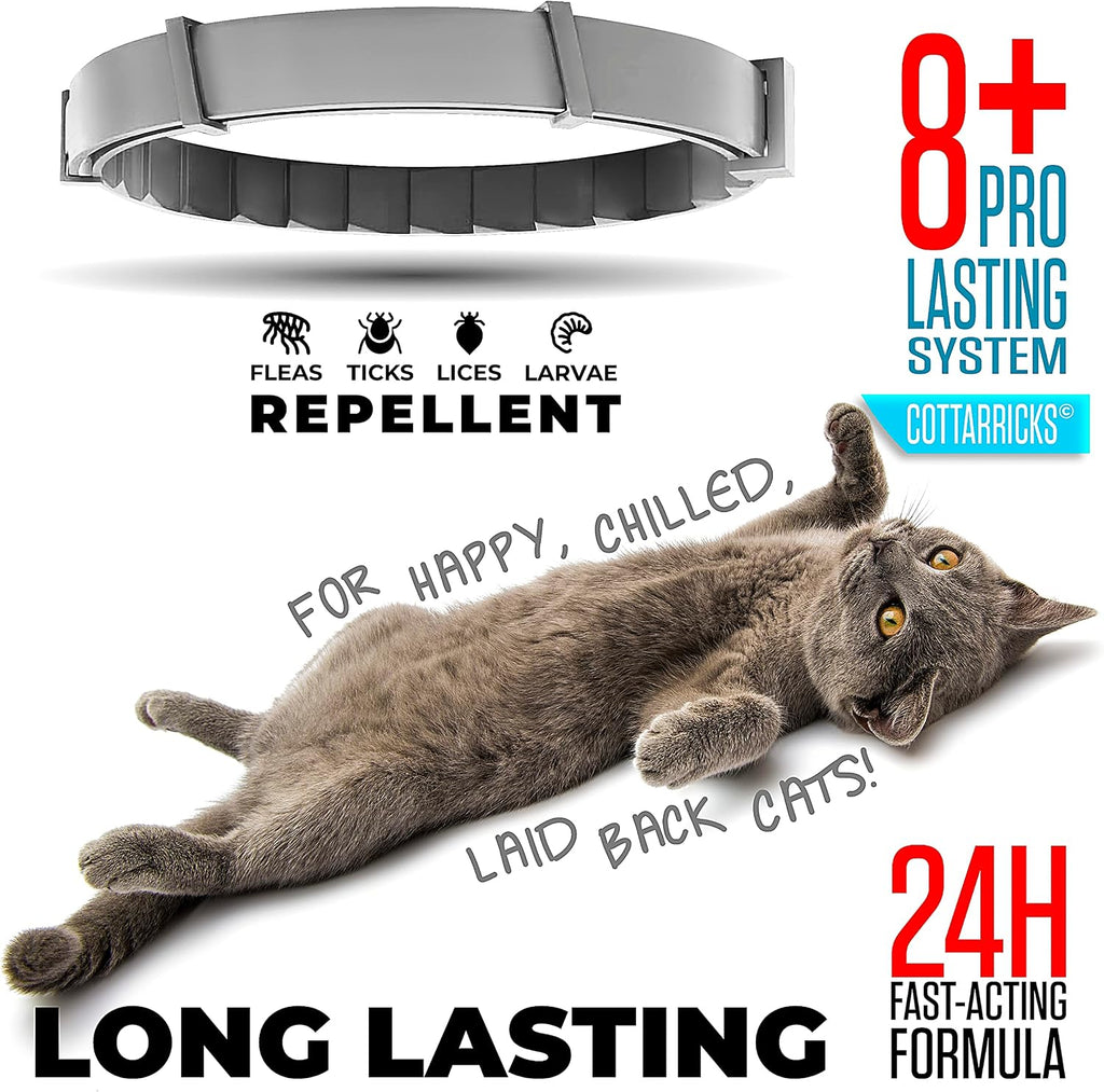 Adjustable cat flea and tick collar grey color