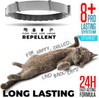Adjustable cat flea and tick collar grey color