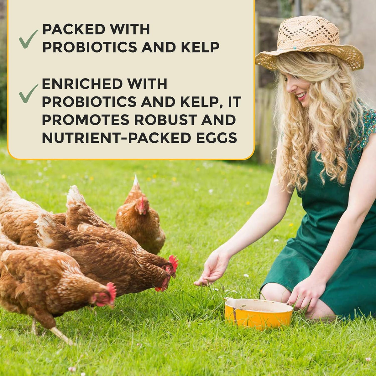 Organic whole grain ingredients in New Country Organics layer feed.