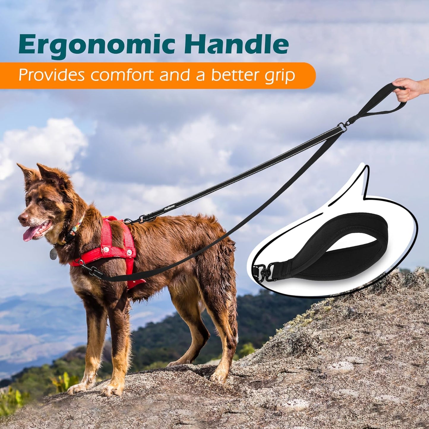 Close up of the soft padded ergonomic handle on PetBonus leash