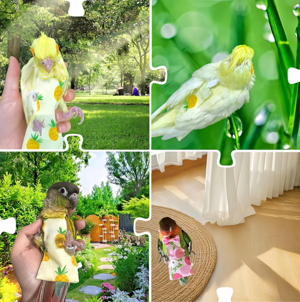 2Pcs Bird Diapers Bird Harness Flight Suits Diapers with 2Pcs 80 Inch Flying Leash Parrot Nappy Pigeon Pants Urine Wet Suit for Cockatiel Conure Macaw Budgies Parakeet-Apple&Pineapple - Image 9