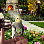 Magnoloran waterproof parrot diaper interior