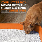 Scent free molecular pet odor eliminator powder for Indian cat owners