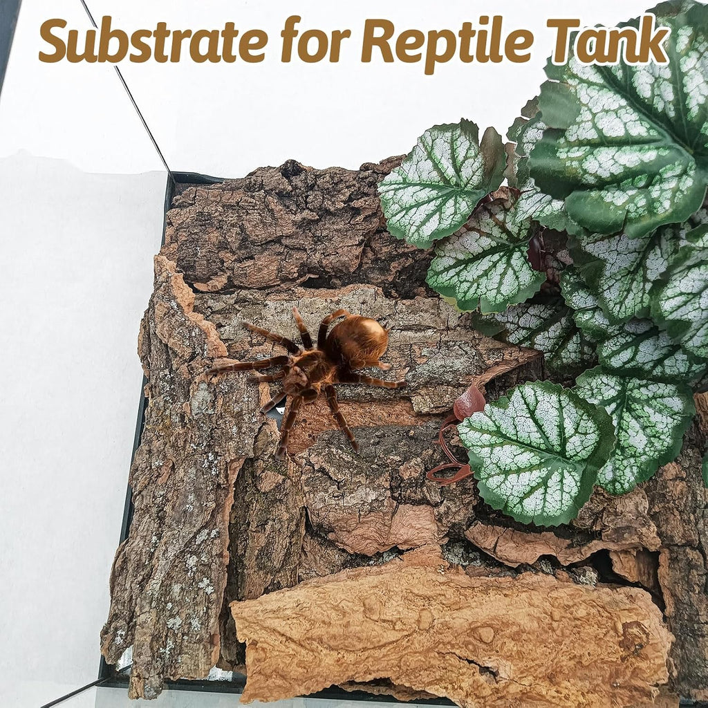 BNOSDM terrarium climbing backdrop wood pieces for ball pythons and chameleons.