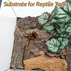BNOSDM terrarium climbing backdrop wood pieces for ball pythons and chameleons.