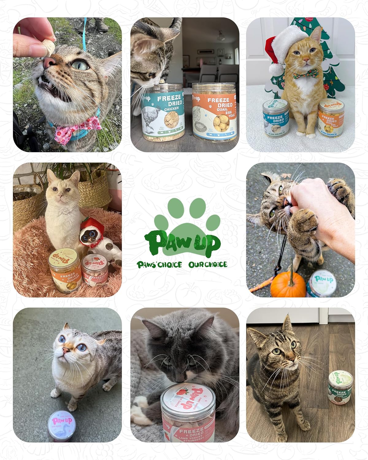 Rehydrated soft texture freeze dried chicken reward for senior cats