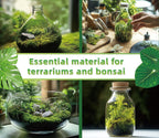 Moisture holding green moss for frogs and geckos