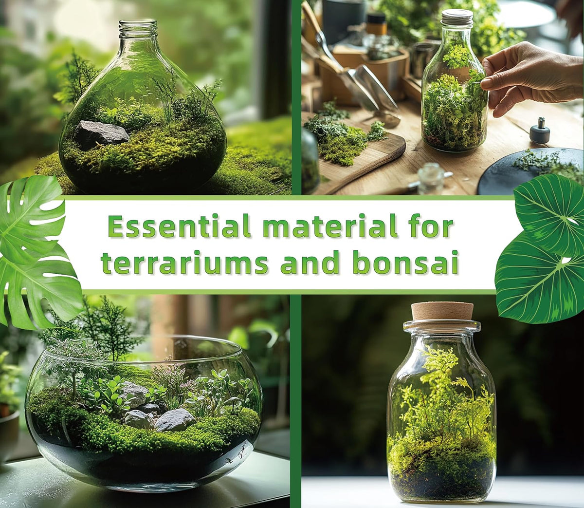 Moisture holding green moss for frogs and geckos