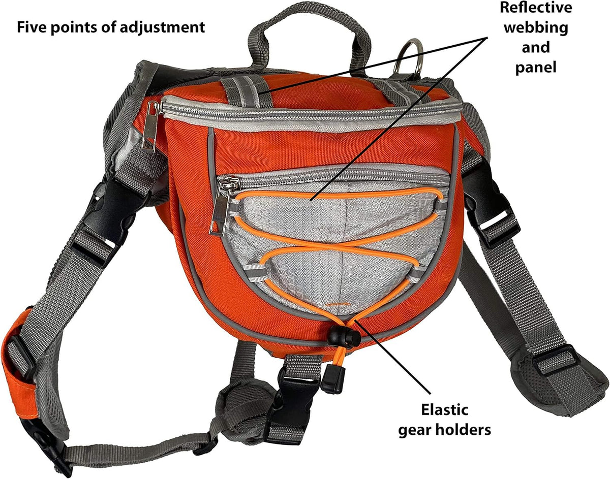 Close up of the adjustable buckles and metal D-ring on the Zor-DOG harness