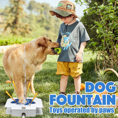 Large dog using Bacoeng step on water sprinkler