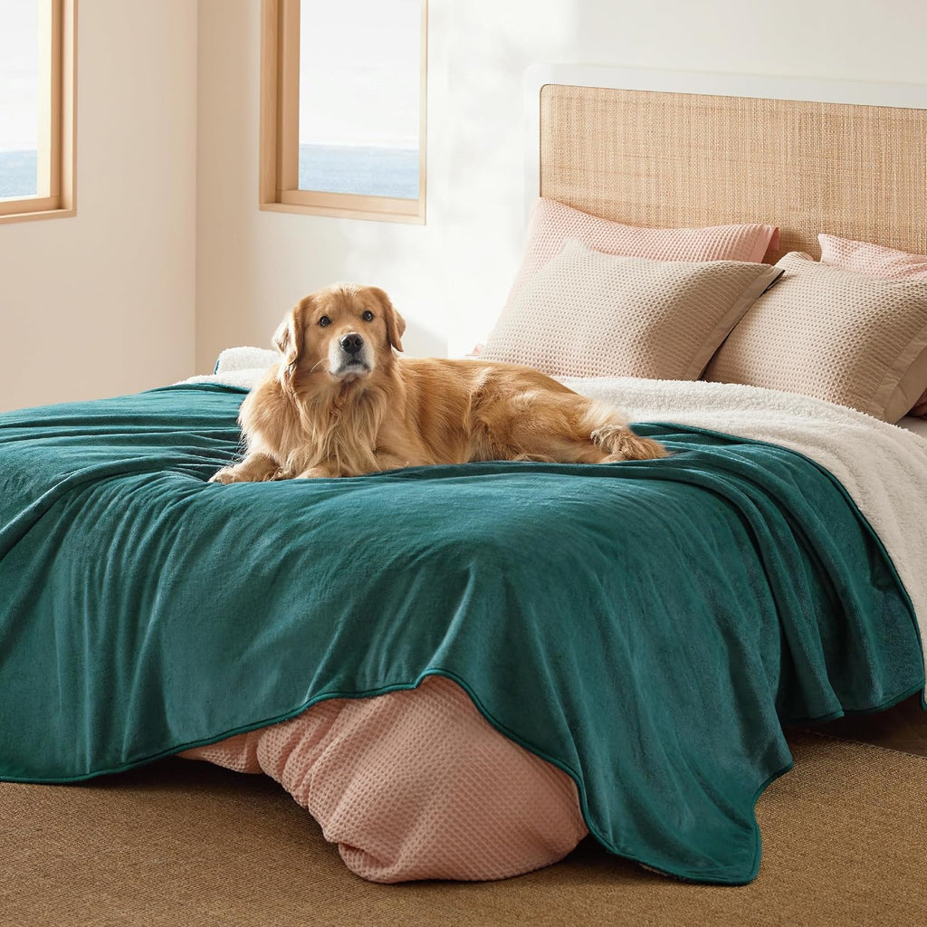 Bedsure Waterproof Dog Blankets for Small Dogs - Small Cat Blanket Washable for Couch Protection, Sherpa Fleece Puppy Blanket, Soft Plush Reversible Throw Furniture Protector, 25"X35", Grey - Image 12