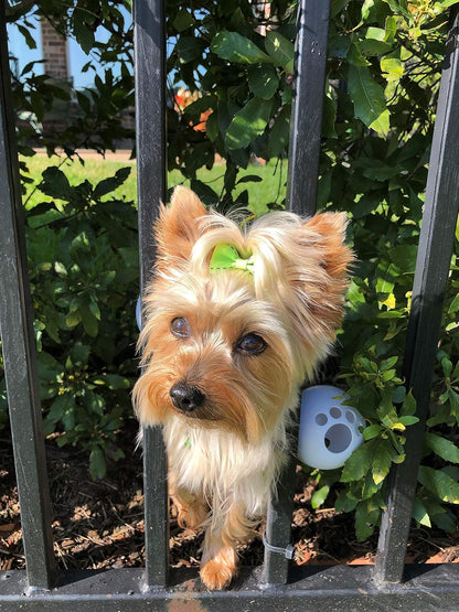 FenceMate small dog safety harness front view
