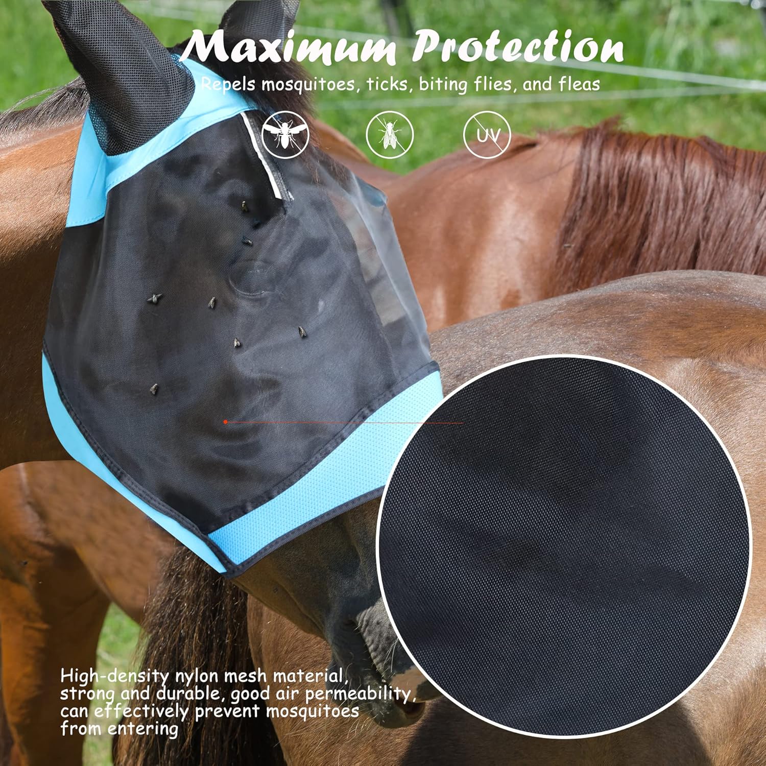 Side view of horse wearing blue SMFUSMFU fly mask
